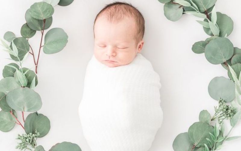 Framing with Nature Using Natural Elements as Frames